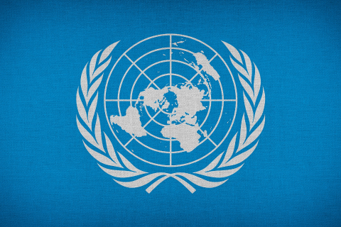 4CF w raporcie rocznym United Nations Global Compact