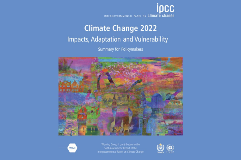 Czas działać! Podsumowanie raportu IPCC dotyczącego zmian klimatycznych