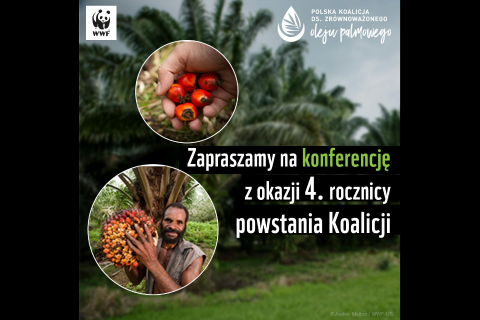 Olej palmowy w Polsce